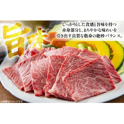 長崎和牛ロース・カルビ焼肉用食べ比べ(約600g×2)