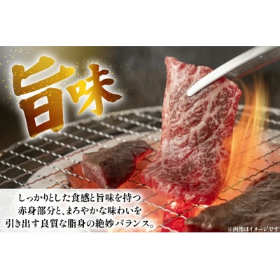 長崎和牛ロース焼肉用約600g