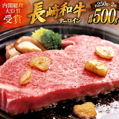 長崎和牛サーロインステーキ約500g(250g×2枚)