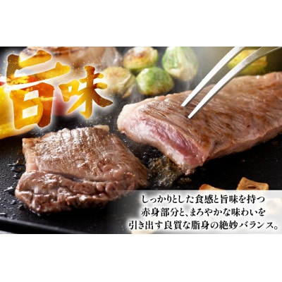 長崎和牛サーロインステーキ約500g(250g×2枚)