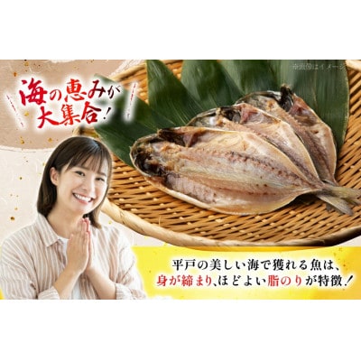 旬鮮平戸干物詰合せ9種