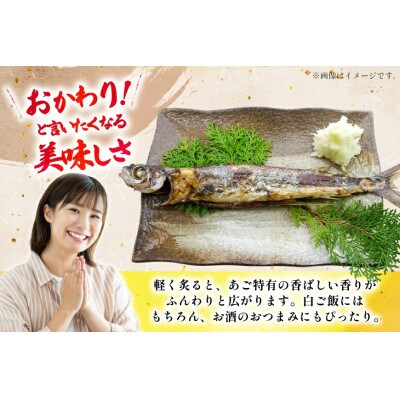 あご一夜干し約900g