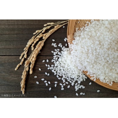 Firando～フィランド～ 1L(500ml×2本)