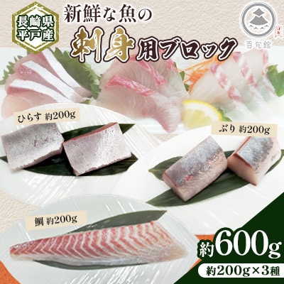 【長崎県平戸産】新鮮な魚 刺身用 ブロック 3種 約600g (各約200g) 詰め合わせ