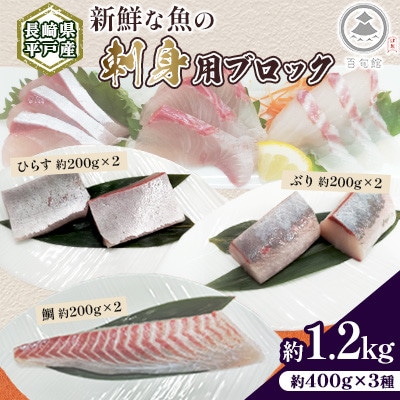 【長崎県平戸産】新鮮な魚 刺身用 ブロック 3種 約1.2kg(各約200g×2) 詰め合わせ