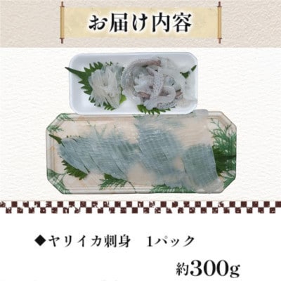 【長崎県平戸産】新鮮ヤリイカ　刺身 1P(約300g)