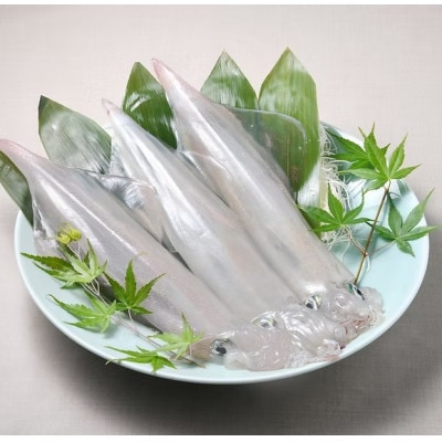 【毎月定期便】長崎県平戸産のヤリイカ使用　イカ塩辛(柚子胡椒風味)3瓶(各100g)全3回