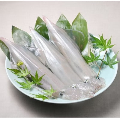 【2ヵ月毎定期便】長崎県平戸産のヤリイカ使用　イカ塩辛(柚子胡椒風味)10瓶(各100g)全3回