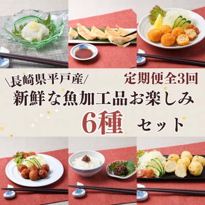 【毎月定期便】【長崎県平戸産】新鮮な魚加工品お楽しみ6種セット全3回