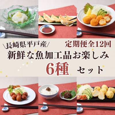 【毎月定期便】【長崎県平戸産】新鮮な魚加工品お楽しみ6種セット全12回