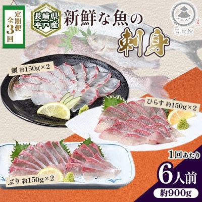 【毎月定期便】新鮮な魚! お刺身～ひらす・鯛・ぶり～ 6人前 約900g(各約150g×2)全3回