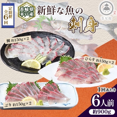 【毎月定期便】新鮮な魚! お刺身～ひらす・鯛・ぶり～ 6人前 約900g(各約150g×2)全6回