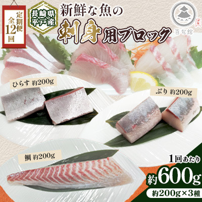【毎月定期便】新鮮な魚! 刺身用 ブロック 3種 約600g (各約200g) 詰め合わせ全12回