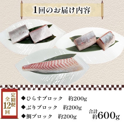 【毎月定期便】新鮮な魚! 刺身用 ブロック 3種 約600g (各約200g) 詰め合わせ全12回