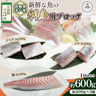 【毎月定期便】新鮮な魚! 刺身用 ブロック 3種 約600g (各約200g) 詰め合わせ全3回
