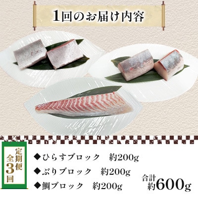 【毎月定期便】新鮮な魚! 刺身用 ブロック 3種 約600g (各約200g) 詰め合わせ全3回