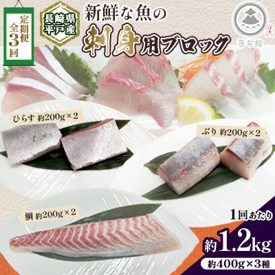 【毎月定期便】新鮮な魚! 刺身用 ブロック 3種 約1.2kg(各約200g×2)全3回