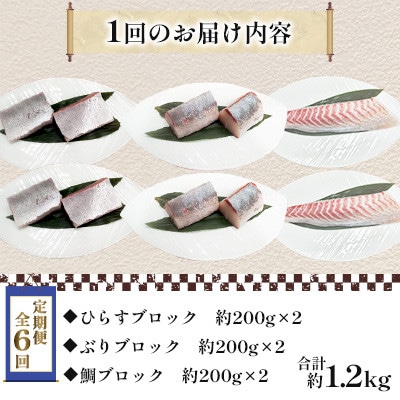 【毎月定期便】新鮮な魚! 刺身用 ブロック 3種 約1.2kg(各約200g×2)全6回