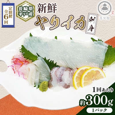 【発送月固定定期便】【長崎県平戸産】新鮮ヤリイカ　刺身 1P(約300g)全6回