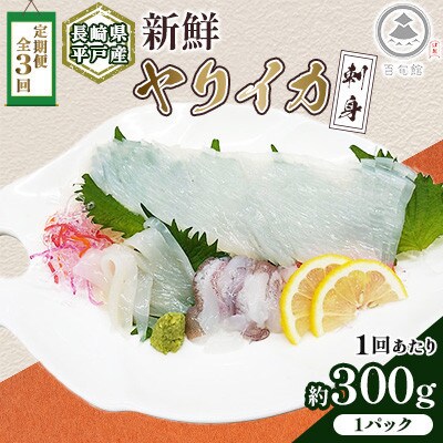 【毎月定期便】【長崎県平戸産】新鮮ヤリイカ　刺身 1P(約300g)全3回