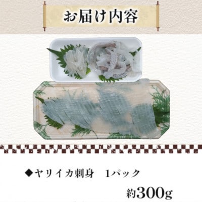 【毎月定期便】【長崎県平戸産】新鮮ヤリイカ　刺身 1P(約300g)全3回