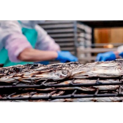 飛魚だし (希釈用) 500ml×3本 計1.5L