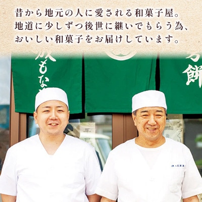 【のし付き】長崎カステラ 2種(プレーン・抹茶)計2本