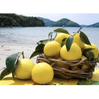 【平戸和精油】平戸夏香エッセンシャルオイル10ml