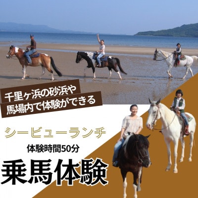 平戸の浜辺で本格乗馬体験 50分 1名様分