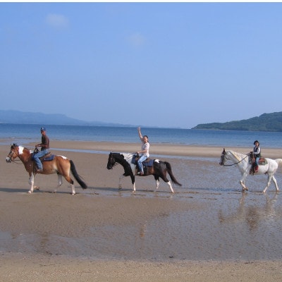 平戸の浜辺で本格乗馬体験 50分 1名様分