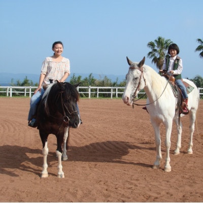 平戸の浜辺で本格乗馬体験 50分 1名様分
