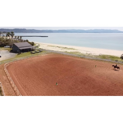 平戸の浜辺で本格乗馬体験 50分 1名様分