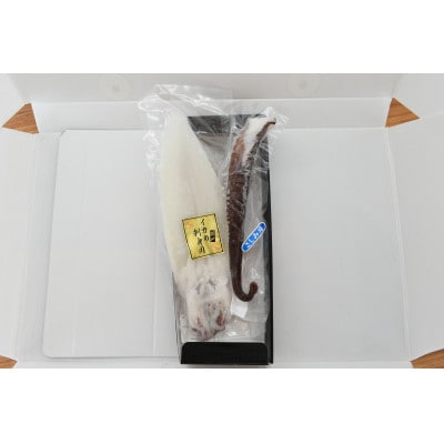 【先行受付】漁師直送便!ヤリイカ刺身とタコ刺身セット