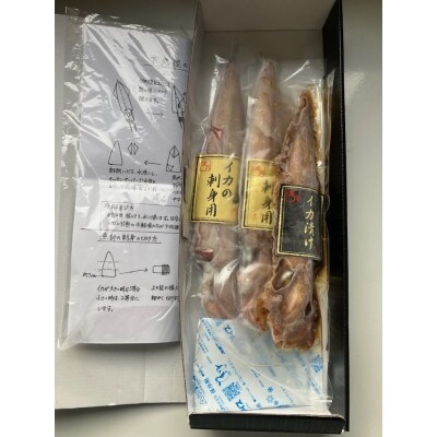 【先行受付】今が旬のヤリイカ(沖漬け付) 2～4杯 約400g