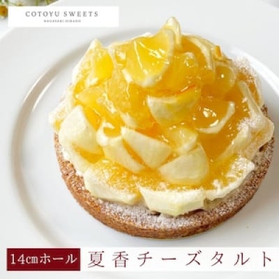 【先行予約】平戸特産夏香チーズタルト 1ホール(14cm)