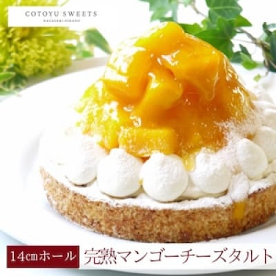 【毎月定期便】完熟マンゴーチーズタルト 1ホール(14cm)全3回