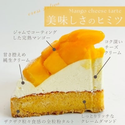 【毎月定期便】完熟マンゴーチーズタルト 1ホール(14cm)全12回