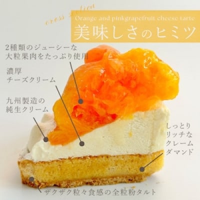 【毎月定期便】オレンジ&ピンクグレープフルーツチーズタルト1ホール(18cm)全12回