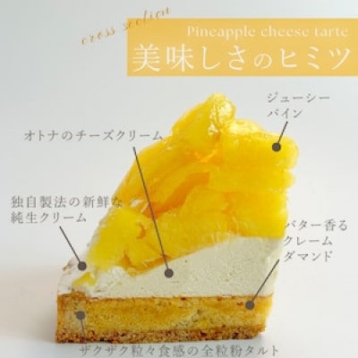 【毎月定期便】完熟パインチーズタルト1ホール(14cm)全12回