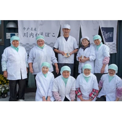 かまぼこ すり身揚げ 8種セット食べ比べ