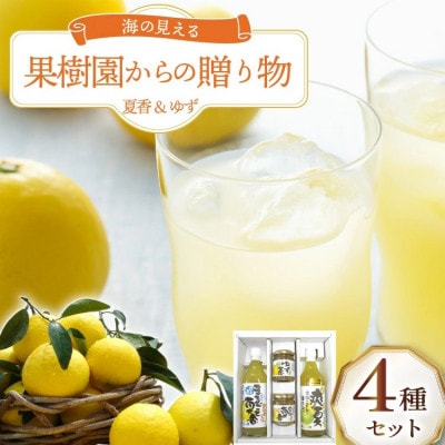 海の見える果樹園からの贈り物 4種セット オレンジ
