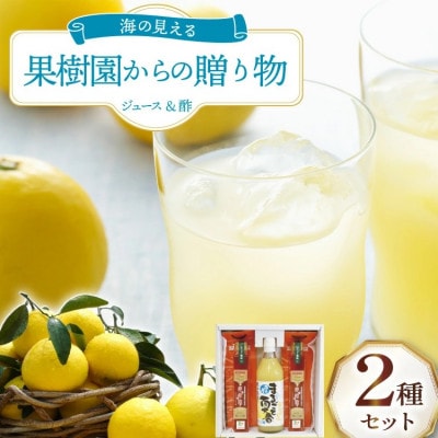 海の見える果樹園からの贈り物 2種セット オレンジ
