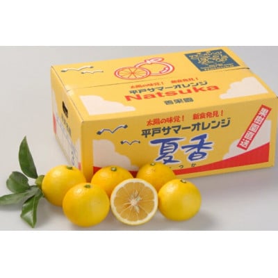 【先行受付】平戸 夏香 3kg (16～25個) 2L ～ M サイズ