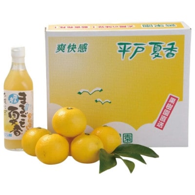 【先行受付】平戸夏香 & ジュースセット  オレンジ　