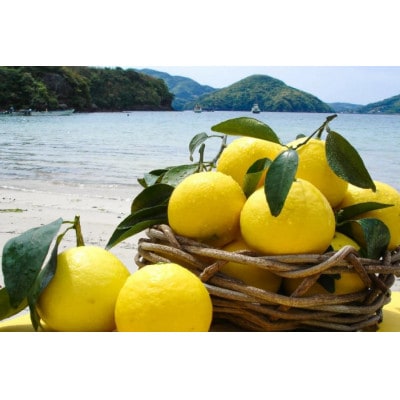 【先行受付】平戸夏香 & ジュースセット  オレンジ　