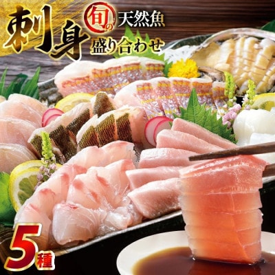 平戸産!旬の天然魚の刺身盛り 5種 2～3人前【エビス亭】ミシュランガイド長崎2019掲載店