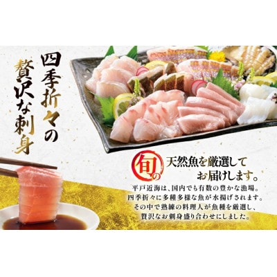 平戸産!旬の天然魚の刺身盛り 5種 2～3人前【エビス亭】ミシュランガイド長崎2019掲載店