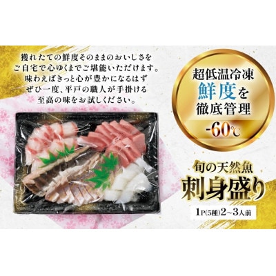 平戸産!旬の天然魚の刺身盛り 5種 2～3人前【エビス亭】ミシュランガイド長崎2019掲載店