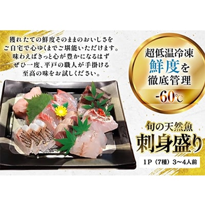 平戸産!旬の天然魚の刺身盛り 7種 3～4人前【エビス亭】ミシュランガイド長崎2019掲載店