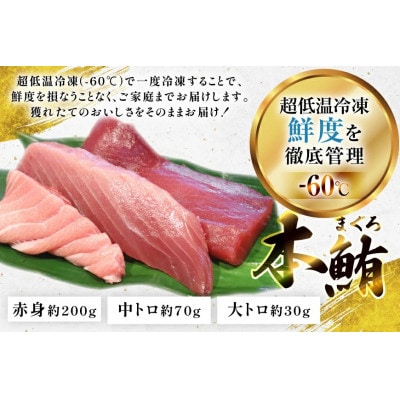 極海一番 マグロ切り身3種 セット 計300g【エビス亭】ミシュランガイド長崎2019掲載店